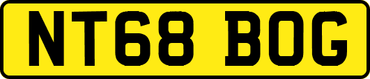 NT68BOG