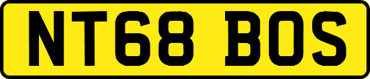 NT68BOS