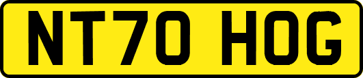 NT70HOG