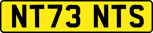 NT73NTS