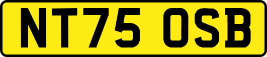 NT75OSB