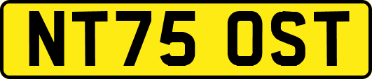 NT75OST