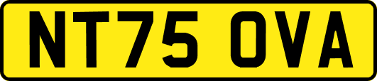 NT75OVA
