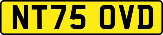 NT75OVD