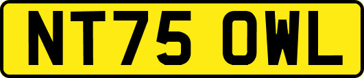 NT75OWL
