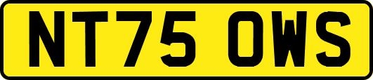 NT75OWS