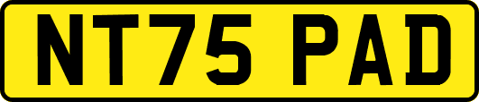 NT75PAD
