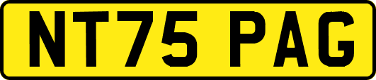 NT75PAG