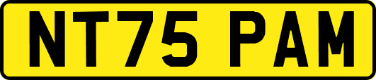 NT75PAM