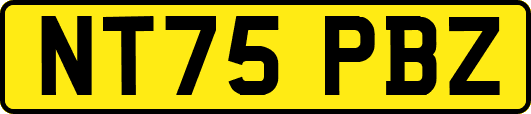 NT75PBZ