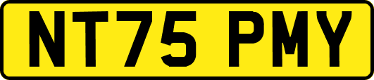 NT75PMY