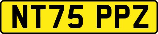 NT75PPZ