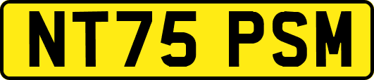 NT75PSM