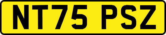 NT75PSZ