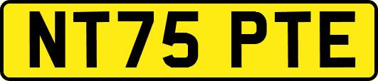 NT75PTE