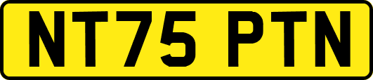 NT75PTN