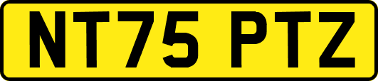 NT75PTZ