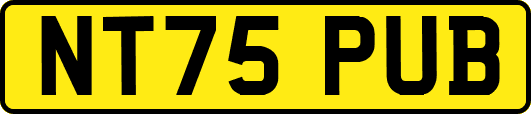 NT75PUB