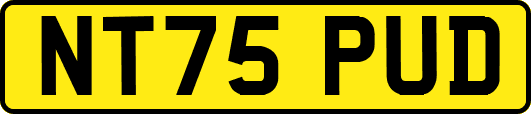 NT75PUD