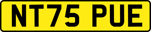 NT75PUE