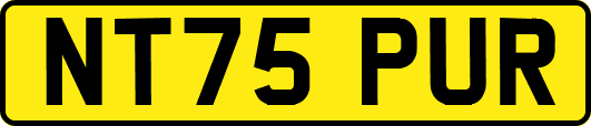NT75PUR