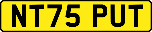NT75PUT