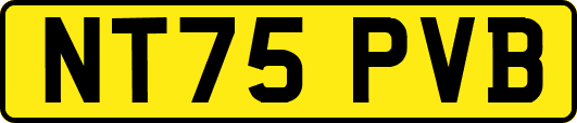 NT75PVB