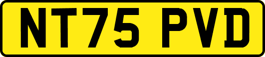 NT75PVD