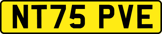 NT75PVE