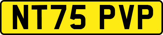 NT75PVP