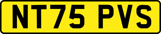 NT75PVS