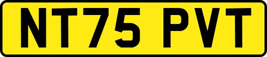 NT75PVT