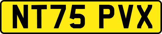 NT75PVX