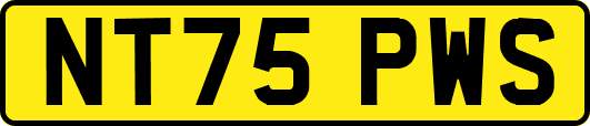 NT75PWS