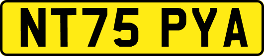 NT75PYA