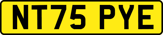 NT75PYE