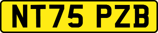 NT75PZB