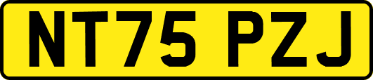 NT75PZJ