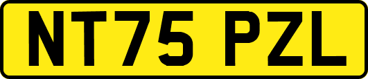 NT75PZL