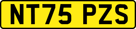 NT75PZS