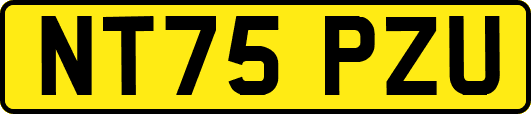 NT75PZU