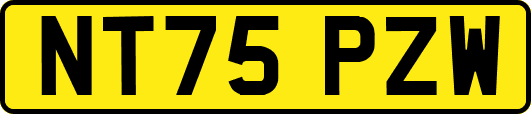NT75PZW