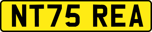 NT75REA