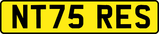 NT75RES