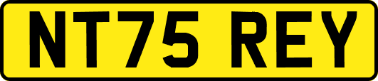 NT75REY