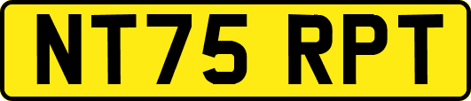 NT75RPT