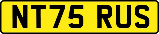 NT75RUS