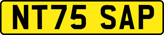 NT75SAP