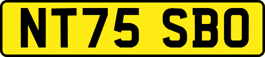 NT75SBO