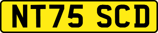 NT75SCD